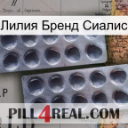 Лилия Бренд Сиалис 31
